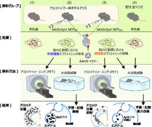 アルツハイマー病を血液投与で遺伝子治療