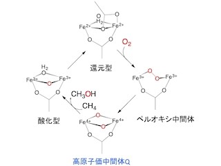 九大など、二核非ヘム鉄酵素の高原子価鉄-オキソ中間体の振動構造を解明