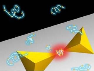 北大、高分子を捕まえる光ピンセットの開発に成功