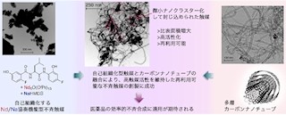 JSTとIMC、CNTを利用した再利用可能な高機能性「不斉触媒」を開発