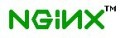 Nginx 1.4登場、SPDY対応