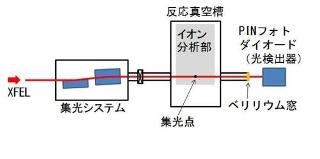 東北大など、X線自由電子レーザによる重原子の特徴的な振る舞いを検出