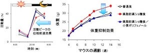 肥満など生活習慣病の抑制効果を持つ「小麦ポリフェノール」 - 産総研など