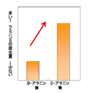 資生堂、D-アミノ酸の新たな美肌効果を発見 - 化粧品に応用