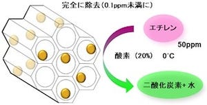 北大など、果物などを腐敗させる「エチレン」を低温で分解する新触媒を開発