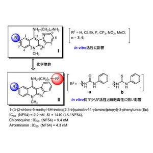 岡山大、新規構造の抗マラリア活性剤を発見