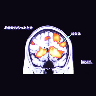 「自分で選ぶ」と「やる気」の密接な関係