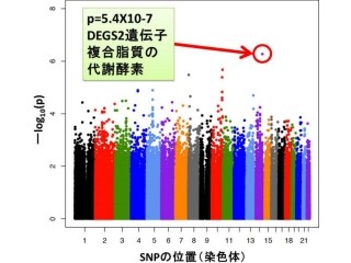 阪大など、統合失調症の認知機能障害に関連する遺伝子を発見