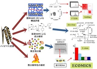 理研、「土壌微生物生態系によるバイオマス分解・代謝評価法」を構築