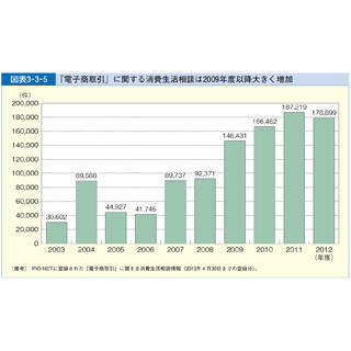 インターネット関連の相談が増加 - 消費者庁、2013年版「消費者白書」