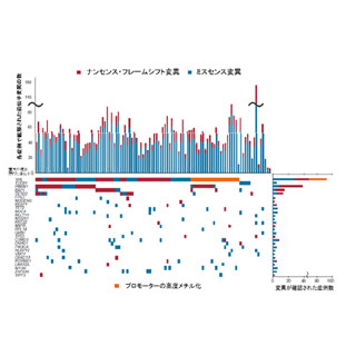 東大など、腎臓がんによるゲノム異常・分子異常の全体図の解明に成功