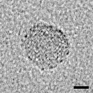 指先ですり潰すだけでフラーレンのナノ粒子ができる - JAMSTECなどが発見