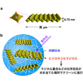 理研とNIMS、光と水だけで繰り返し加工が可能な「ヒドロゲル」を開発