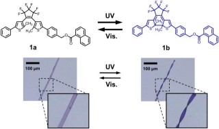 大阪市大、光でらせんを可逆的に形成できるフォトメカニカルな結晶を発見
