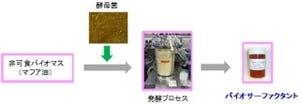 産総研など、非可食バイオマスの高機能な界面活性剤を安価に製品化