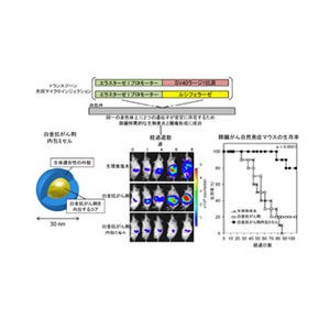 白金抗がん剤内包ミセルには膵がんに対する治療効果がある - 東大が確認