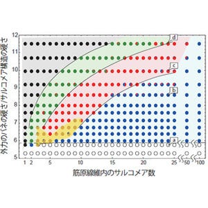 将来は教科書の書き換えの可能性も -早大、横紋筋の収縮系機構の一端を解明