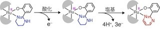岡山大、金属錯体上で有機物の4電子酸化を容易に実現
