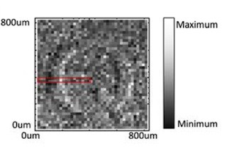 北大、古典理論限界を超えた感度を有する「量子もつれ顕微鏡」を実現