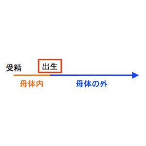 出生は赤ちゃんの脳回路形成を促すスイッチだった - 金沢大が解明