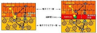 理研、有機薄膜太陽電池の界面構造制御で電圧向上と電流維持の両立に成功