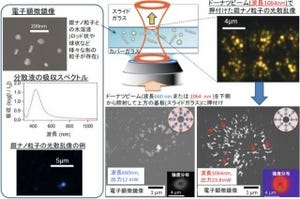 阪大など、金属ナノ粒子の水溶液から均一な粒子だけを操作することに成功