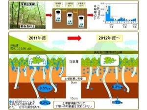 放射性Csの土壌中に移行したが土壌中での移動の割合はわずかと判明 - JAEA