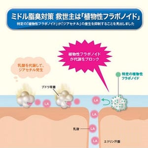 男性の体臭の原因は3種類あった - マンダムが新たなニオイの原因成分を特定