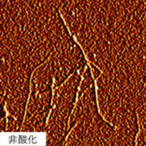 アルツハイマー病の新たな治療法に期待-東大、Aβを酸化させる光触媒を開発