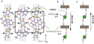 理研、常温有機強誘電体の分極反転を阻害する要因を発見