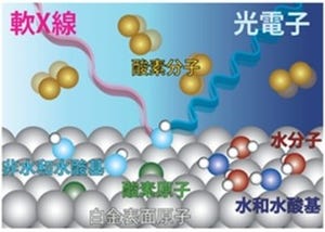 燃料電池の性能向上には白金触媒近くの水分子がカギ - JSTが発見