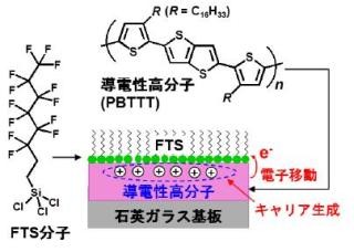 名大、導電性高分子の微小結晶内で発現する金属状態を解明