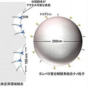 がんの薬物動態を可視化して早期の薬物評価が可能に - 国がん研と島津