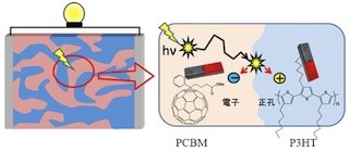 神戸大、有機薄膜太陽電池で電流を効率よく発生させる仕組みを実験的に解明