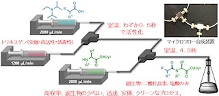 東工大、ペプチドを迅速・高収率・安価で合成する新手法を開発