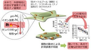 早稲田、水中で触れずに細胞の温度を測定する「レシオ型ナノ温度計」開発