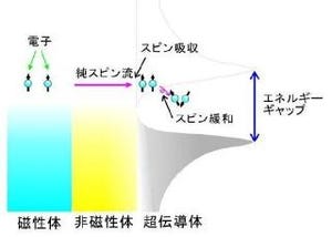 東大、超伝導体へのスピン注入に成功 - スピン情報保持時間の増大を実証