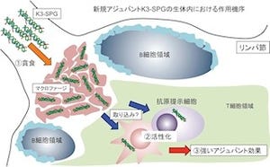 NIBIOなど、インフルエンザなどの感染症用の強力なワクチンの開発に成功