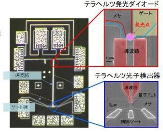 農工大、半導体チップ上でテラヘルツ波の粒を発生/伝送/検出に成功