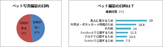 自分のペットは見せたいが、"よその子"には興味ナシ? アドビ調査で明らかに