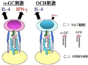 自己免疫疾患「多発性硬化症」用の新規治療薬の治験が順調に進行中 - NCNP