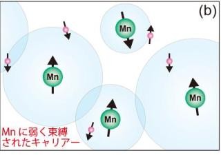 東大など、希薄磁性半導体が磁石の性質を示す機構を解明