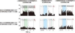 京大、2つのことを同時にしようとしてうまくいかない理由を解明