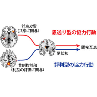 共感こそが見返りのない他人への親切を行う鍵!? - 北大が恩送りの謎を解明