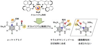 北大、廃棄物を出さずに医薬品用の原料物質を簡便に合成する方法を開発