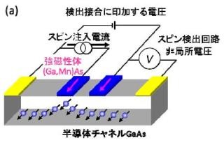 東北大など、スピンエサキ構造素子で半導体中のスピン検出感度を40倍に増幅