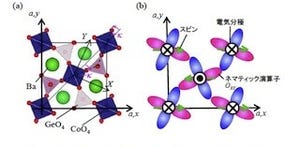 東大、マルチフェロイック物質におけるスピンネマティック相互作用を観測