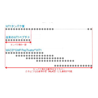 メディネットなど、人工がん抗原ペプチドによる樹状細胞ワクチン療法を提供