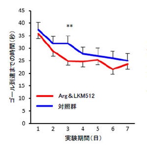 ビフィズス菌とアミノ酸を併せて摂取すると寿命が延びる!? -協同乳業が確認