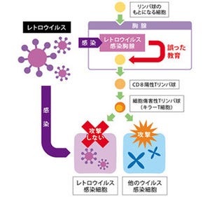 レトロウイルスが免疫逃れる仕組み解明